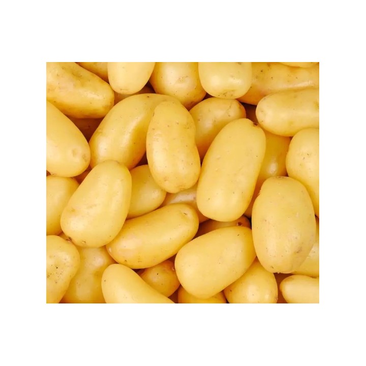 Pomme de terre nouvelle